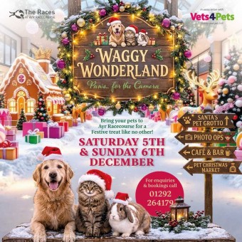 Waggy Wonderland at Ayr Racecourse